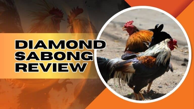 Diamond Sabong Review | Play at Online Sabong Philippines