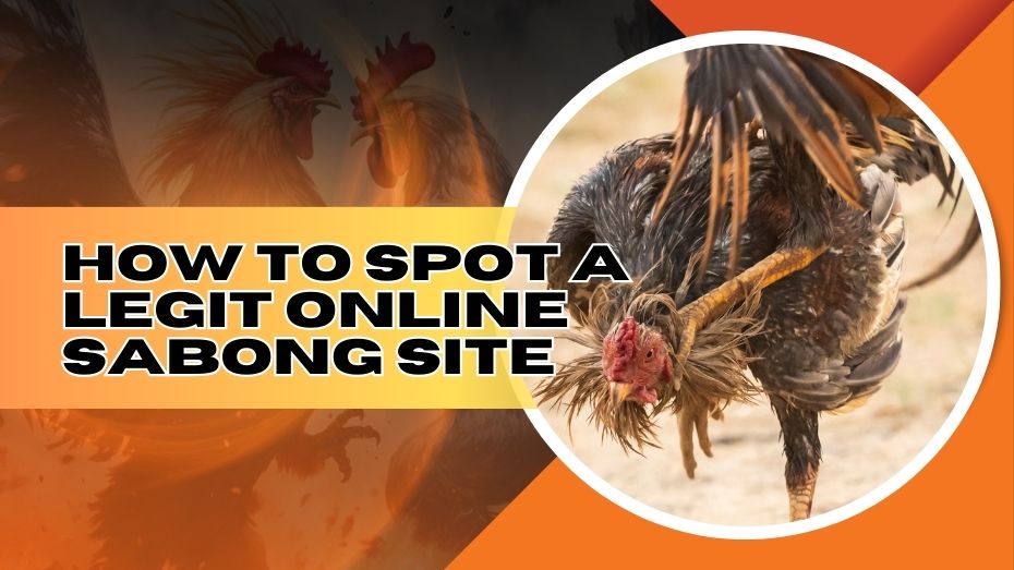 How to spot a legit online sabong site?