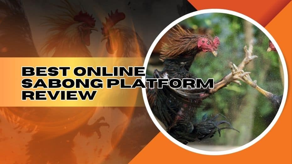 Online Sabong Philippines review