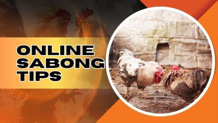 Online Sabong Tips to Win Up to 10,000 PHP!