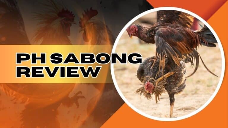 PHSabong Review | Online Sabong Philippines