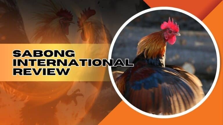 Sabong International Review | Online Sabong Philippines